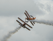 Nikon D3 :  400mm, 1/1250sec, f/9, ISO-400, 0.3 step