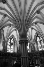 Nikon D40 :  18mm, 1/20sec, f/3.5, ISO-800